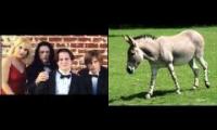 The Room Soundtrack - I Will vs. Sound donkey, voice donkey, cry donkey | Звук осла, голос осла, кри