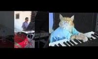 Keyboard Cat- The Wall