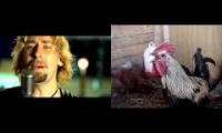 Rooster Scooster Nickelsmxhmickel