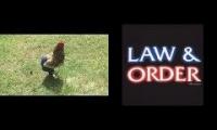 Caw & Order: Chicken Pants Division