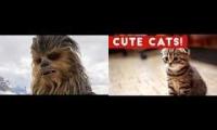 Thumbnail of Chewbacca versus felines