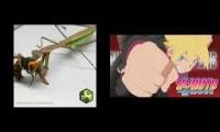 Boruto Mantis vs Bitchass Murder Hornet