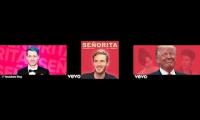 DanTDM,PewDiePie & Donald Trump Sings Señorita