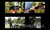 Video tentang memancing