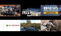 NEWS live streams with COVID