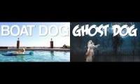 Markipiler Boat Dog Ghost Dog