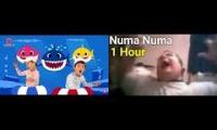 Baby Shark Numa Numa  -One Hour