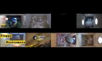 birdsnestinglivestream13