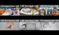 NatureTec camwatch - bird feeders & nest boxes