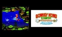 THE LEGEND OF DONKEY KONG: PART 6: AQUATIC AMBIANCE EDITION