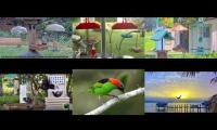 BirdsNestingBirdsFeeder 26