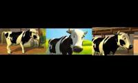 the cows videos at the same time