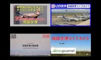 hadeda airport live camera