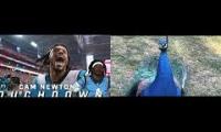 Cam Newton Im Back Peacock