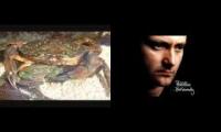 crab mashup 360 - phil collins and crustaceans