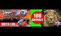 Geo News and Animal Names