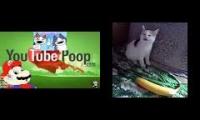 Sparta YouTube poop vs sparta cat no banana