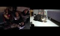 Klingon Death Cat Howl