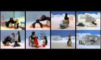 Pingu Season 1 (8 episodes at once)