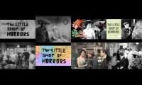 THE 1960s MOVIE MATINEE: THE LITTLE SHOP OF HORRORS (1960): PART 2