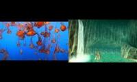 Live Jelly Cam - Monterey Bay Aquarium + Zoras Domain 10 Hours - Zelda Ocarina of Time