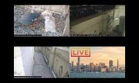 Cal Falcon Live Cams