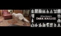 Borzoi Dark Souls sir