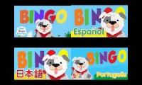 BINGO 4 Different Languages