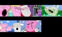 5 the diseducational adventures of peppa pig epesodes at once