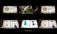 Domestos Elections With 6 Videos of All Time