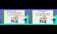 2 Seasons from Caillou (145 episodes played at the same time)