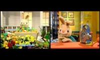 Harry the Bunny (BabyFirstTV)