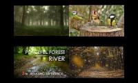 Thumbnail of middle of a forest in the moring what you hear while you wallk bye