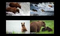 2024 katmai reality show