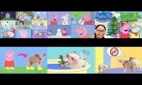 Peppa Pig:All 29 episodes at once-ITs back!