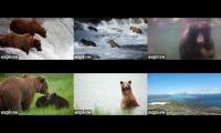 Thumbnail of Katmai National Park