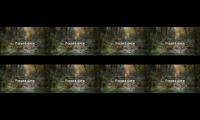 Thumbnail of Nay Namina - Forest Aura (Instrumen)