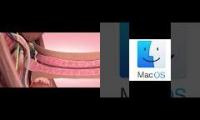 Thumbnail of If erections made the Mac startup noise