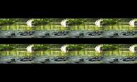 Thumbnail of Tranquil Waterscape Symphony