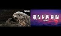 Thumbnail of Run, Lizard, Run (Lizard running from snakes)