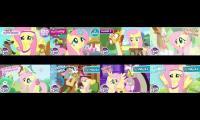 Thumbnail of Fluttershy: A kind and gentle pony with a love of all creatures, big and small.