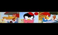 Thumbnail of The New Woody Woodpecker Show (S01E01, S01E02 Segment 1)