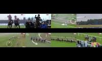 Thumbnail of plane leads horses 9