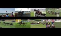 Thumbnail of plane leads all of the horses 9