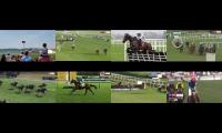 Thumbnail of plane lead horses 9.5