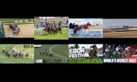 Thumbnail of plane lead horses 10