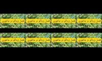 Thumbnail of فصل توت و زردآلو در جاغوری fasly toot jaghori